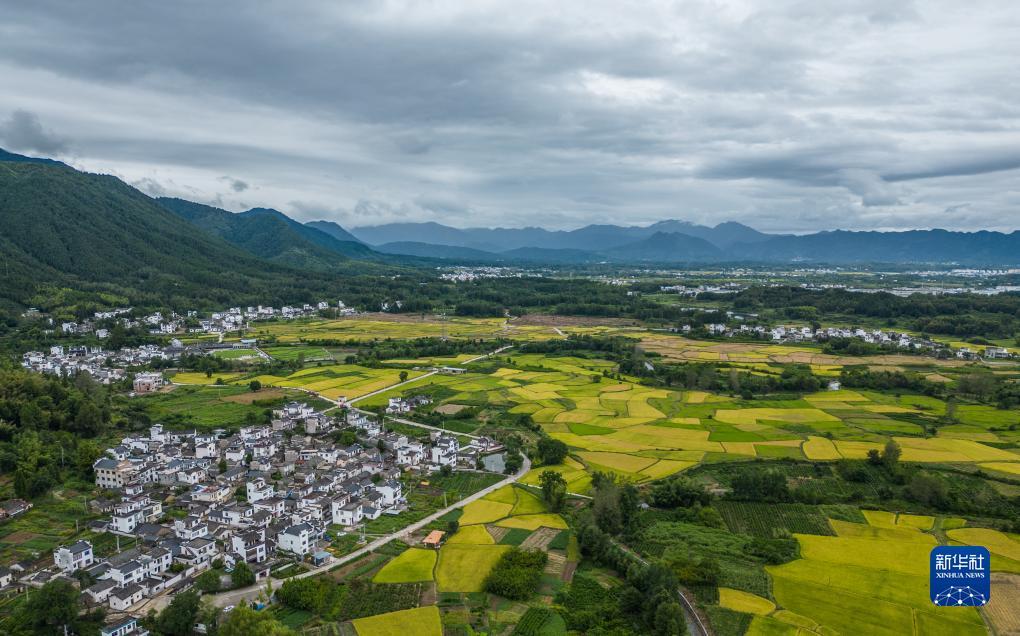 奔驰宝马娱乐场所网址